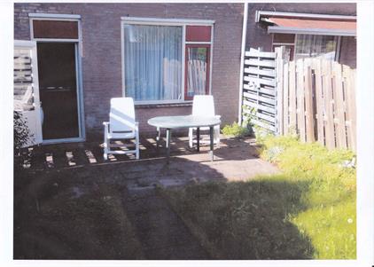 Room for rent 600 euro Willem Dreeslaan, Utrecht