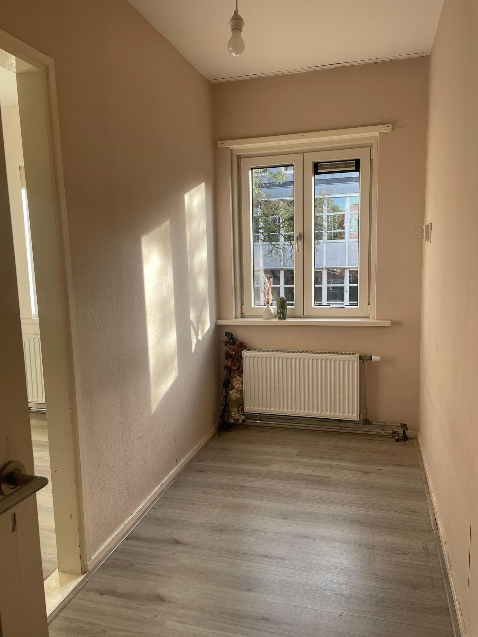 Professor Enno Dirk Wiersmastraat