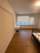 Room for rent 403 euro Europalaan, Tilburg