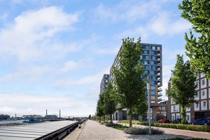 Room for rent 1000 euro Maashaven N.z., Rotterdam