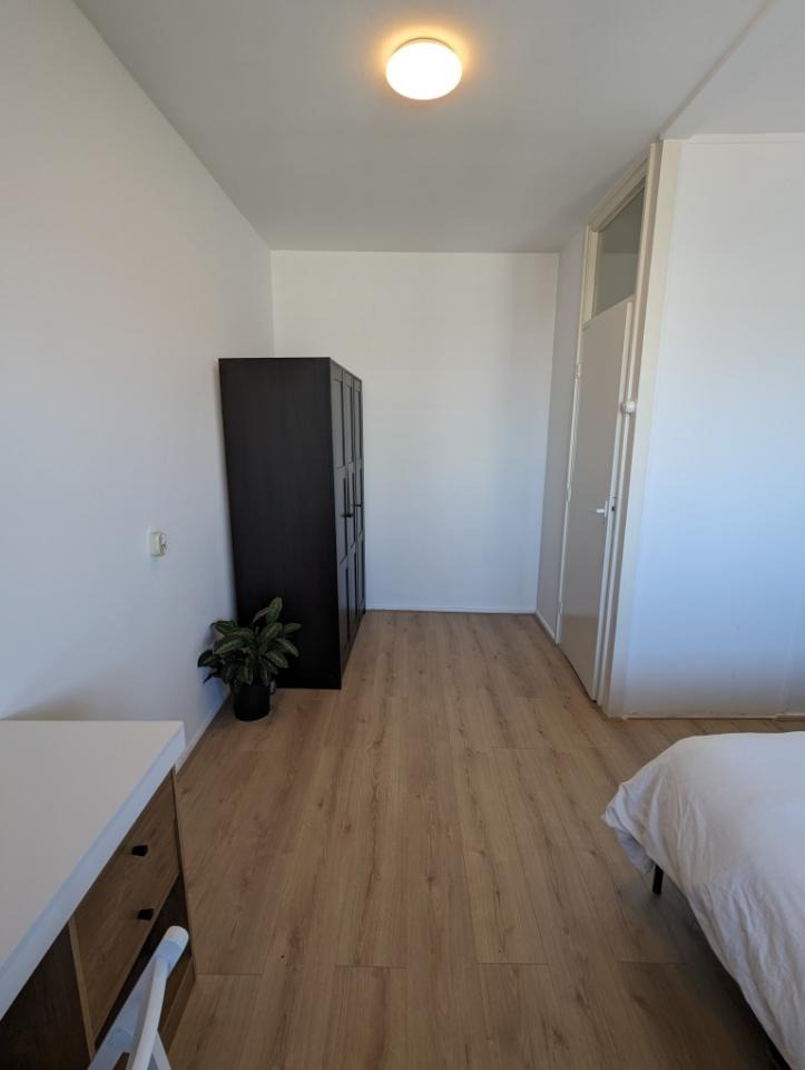 Kamer te huur in Delft – Hendrik Tollensstraat – foto 3