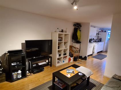 Apartment for rent 1200 euro Abeelstraat, Breda