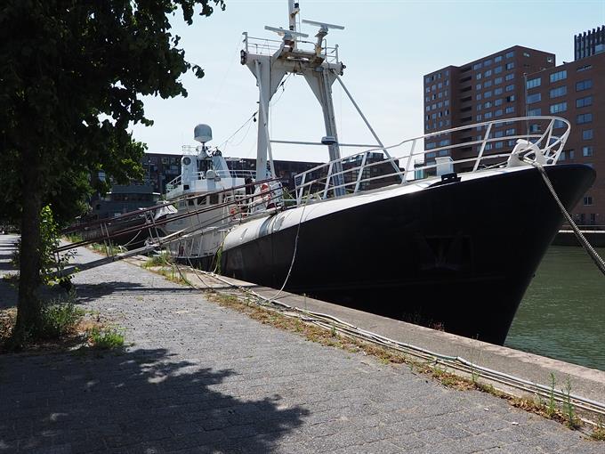 Wohnung bei Levie Vorstkade In Rotterdam