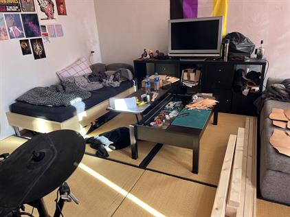 Kamer te huur 870 euro St Petrus Canisiuslaan, Eindhoven