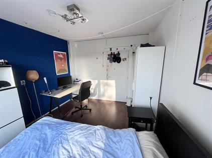 Room for rent 599 euro Oudraadtweg, Delft
