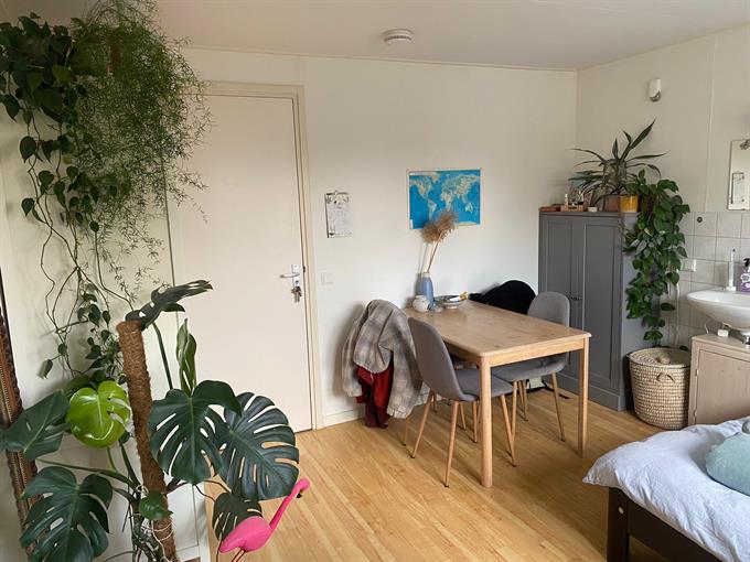 Zimmer bei Voorstadslaan In Nijmegen
