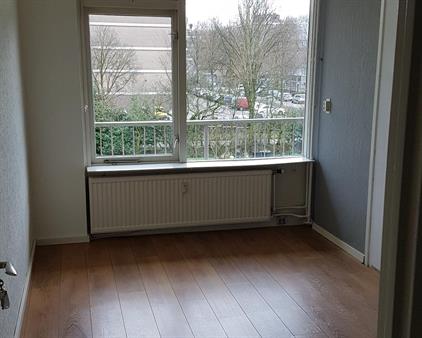 Wijenburglaan