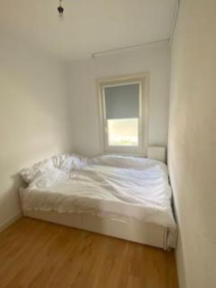 Room for rent 565 euro Ringbaan-Oost, Tilburg