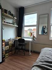 Room for rent 521 euro Oranje Plantage, Delft