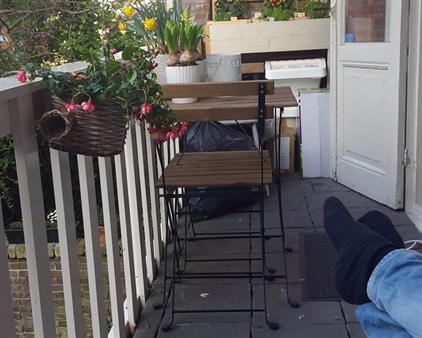 Apartment for rent 1325 euro Adelaarstraat, Utrecht