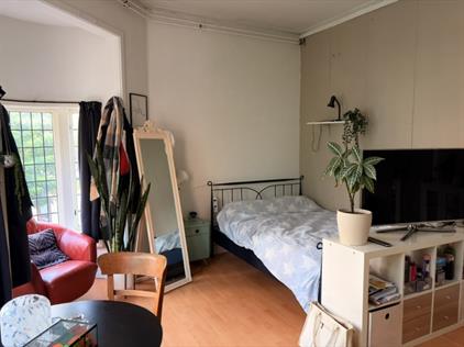Room for rent 650 euro Pluimerstraat, Groningen