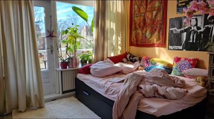 Kamer te huur 445 euro Professor Rankestraat, Groningen