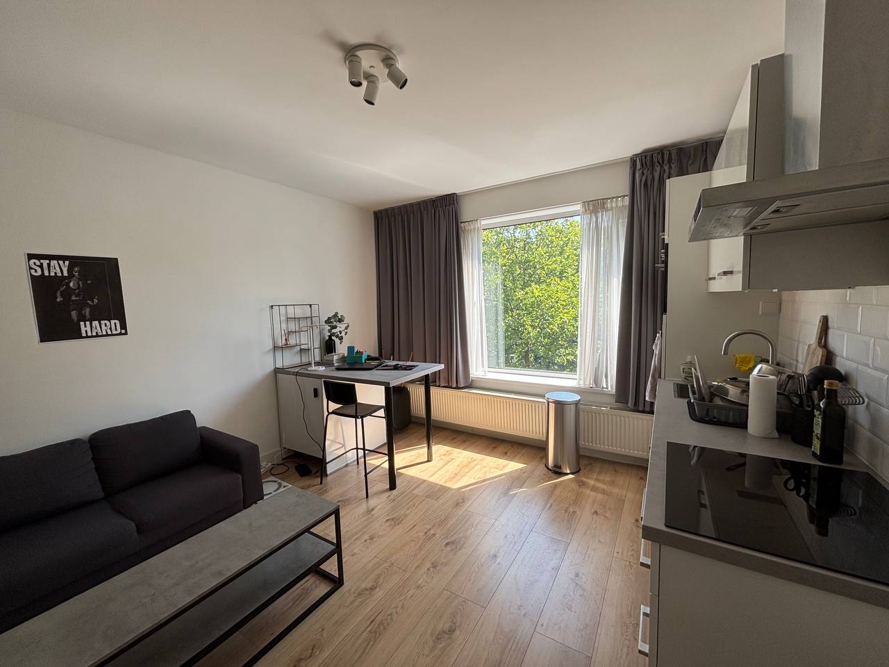 studios te huur op Pleinweg