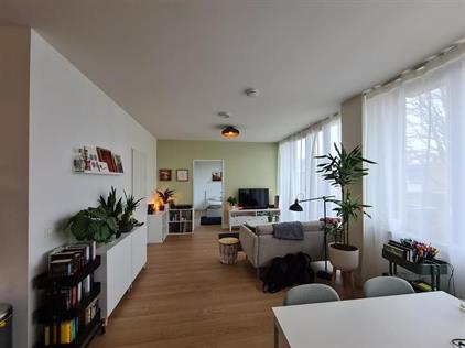 Appartement te huur 1170 euro Peter Vineloolaan, Bergen op Zoom