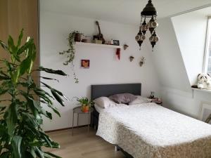 Kamer te huur 1100 euro Havikslaan, Amsterdam