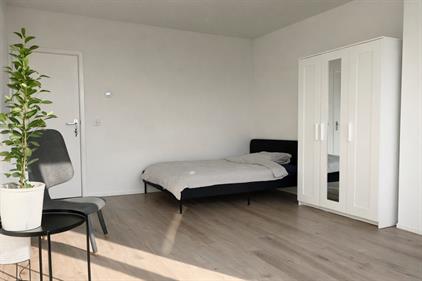 Room for rent 790 euro Plotinusstraat, Rotterdam