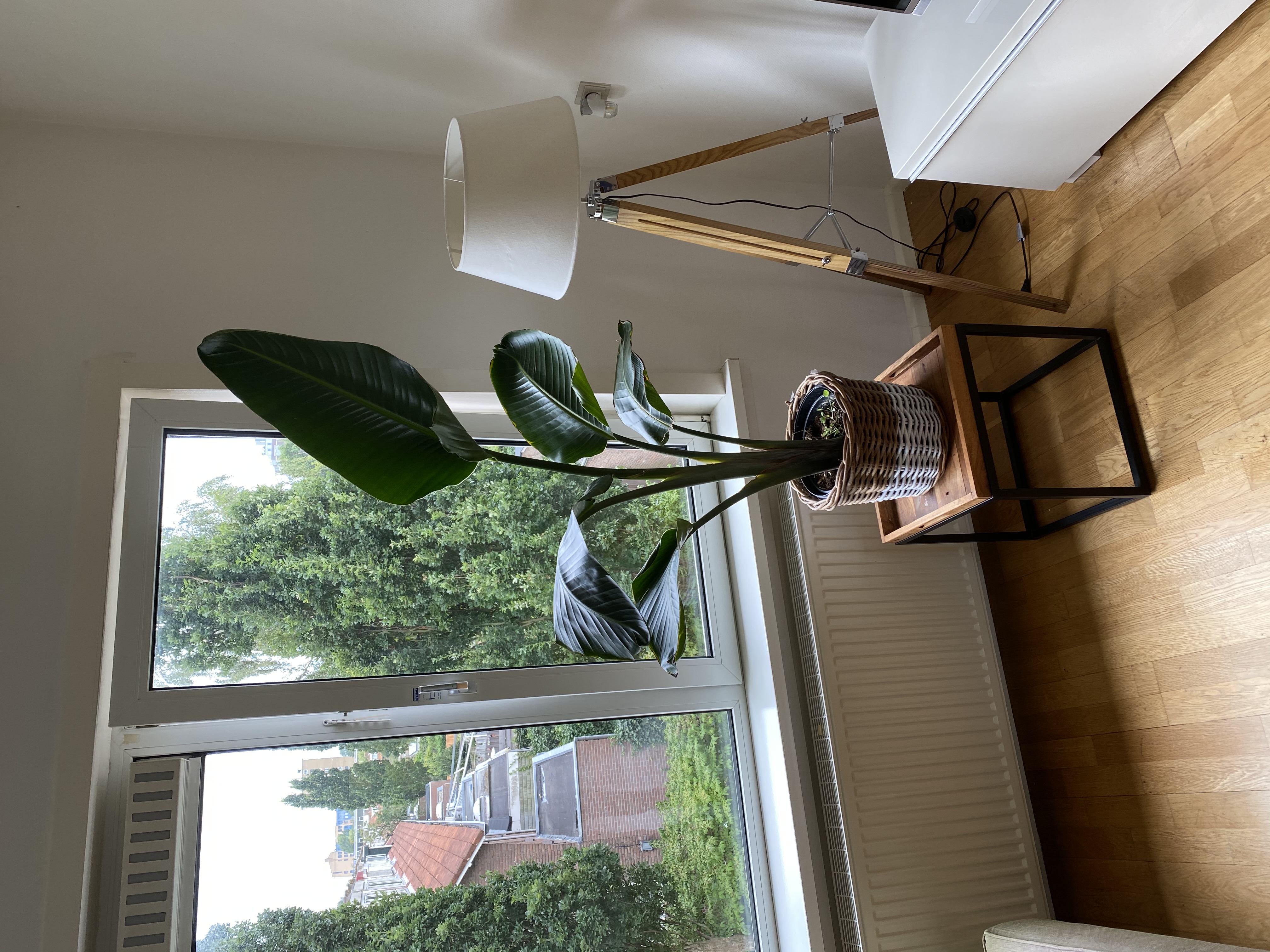 Kamer te huur in Amstelveen – Adriaen van Ostadelaan – foto 3