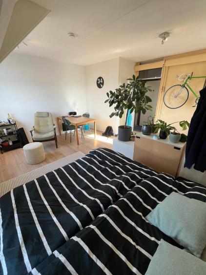 Room for rent 350 euro Arendlaan, Delft