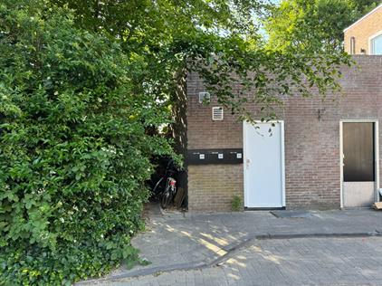 Apartment for rent 1300 euro Van der Kaaijstraat, Alkmaar
