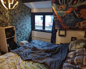 Room for rent 680 euro Lijsterbesstraat, Gouda