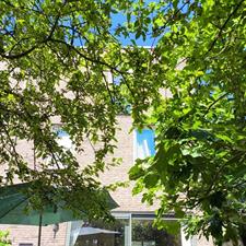 Kamer te huur 875 euro Veldruskade, Vleuten