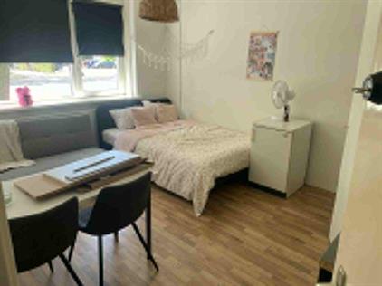 Room for rent 550 euro Nieuwe Mollenhutseweg, Nijmegen