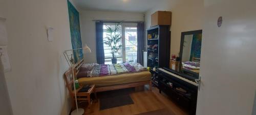 Room for rent 600 euro Bullepad, Amsterdam