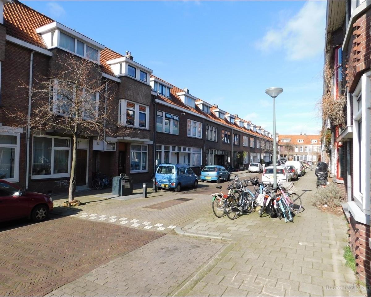 Paulus Potterstraat