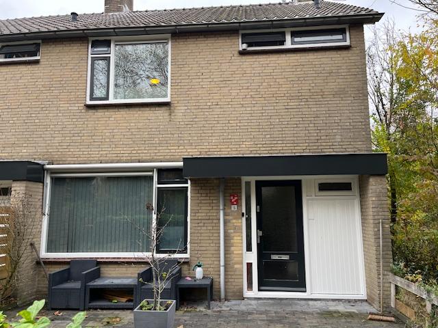 Paladijnenweg