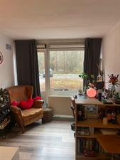 Room for rent 550 euro Witbreuksweg, Enschede