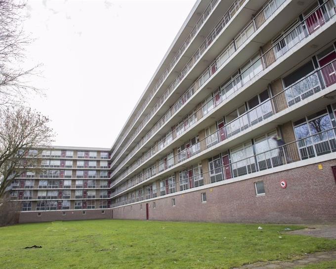 Zimmer bei Wijenburglaan In Arnhem