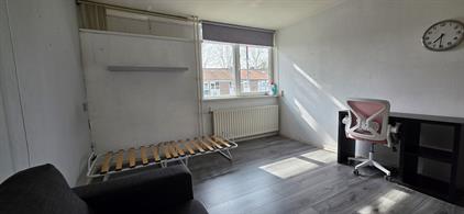 Room for rent 600 euro Zandveld, Breda