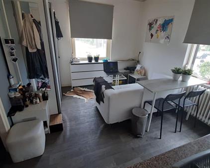Studio for rent 700 euro van Hogendorpstraat, Nijmegen