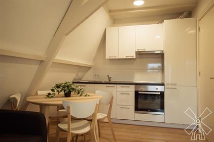 Appartement te huur 1300 euro Paul Krugerlaan, Den Haag