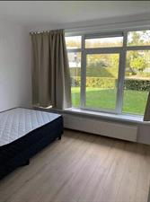 Room for rent 800 euro Menno ter Braakstraat, Rotterdam