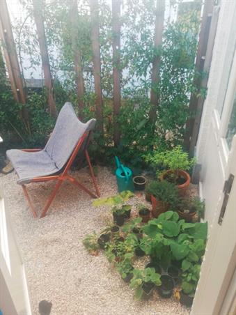 Wohnung bei Cartesiusstraat In Den Haag