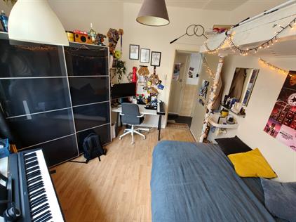 Room for rent 450 euro Lodewijk Napoleonplein, Eindhoven