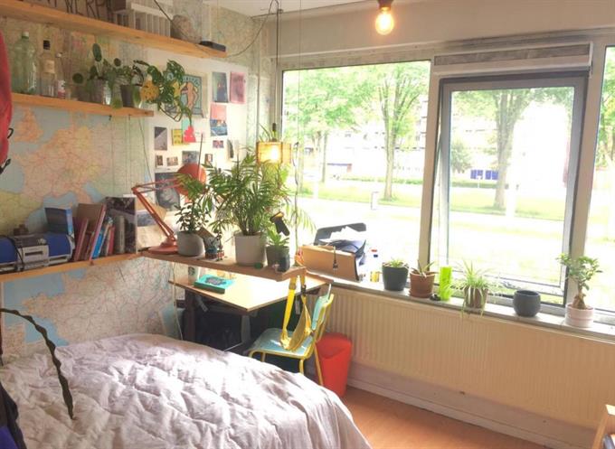 Zimmer bei Jacoba van Beierenlaan In Delft
