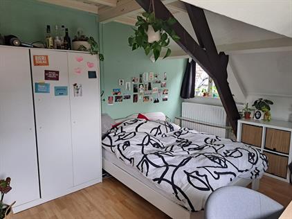 Room for rent 595 euro Haagweg, Breda