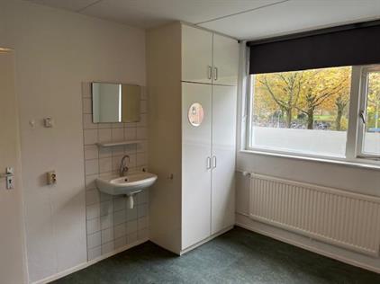 Kamer te huur 600 euro Paladijnenweg, Amersfoort