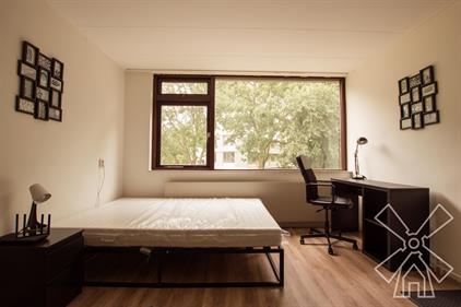 Kamer te huur 950 euro Elviraland, Den Haag