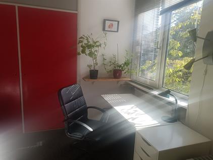 Room for rent 650 euro Meermanstraat, Delft