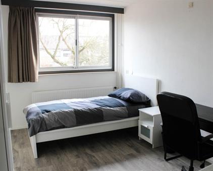 Kamer te huur 530 euro Sikkeldreef, Doetinchem