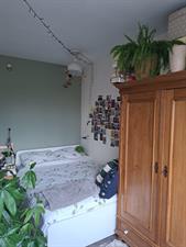 Room for rent 509 euro Walstraat, Wageningen