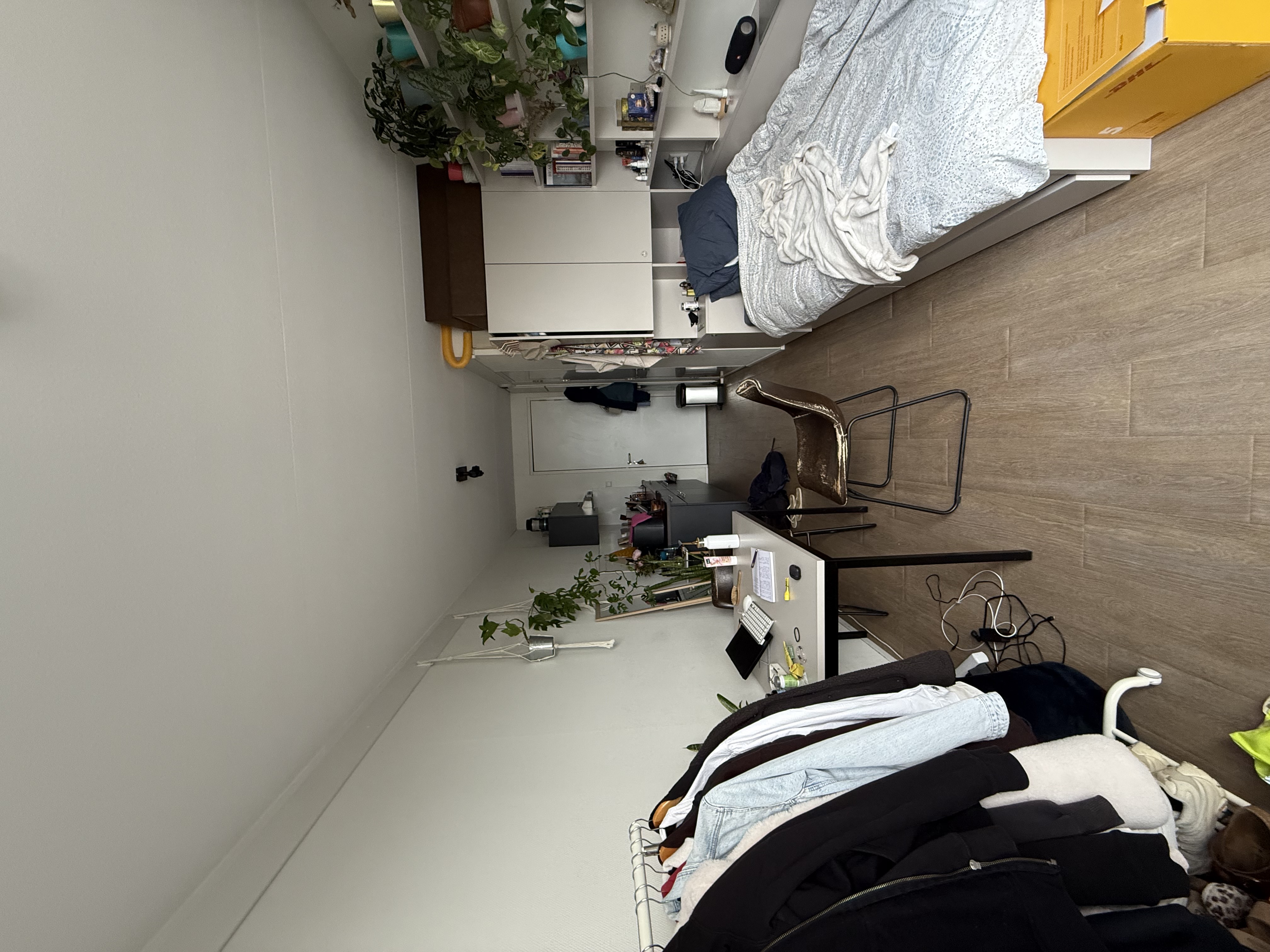 studios for rent on Ravenoord