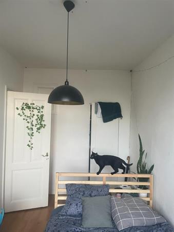 Zimmer bei Nieuwe Prinsengracht In Amsterdam