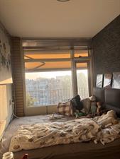 Room for rent 850 euro Briandplaats, Rotterdam