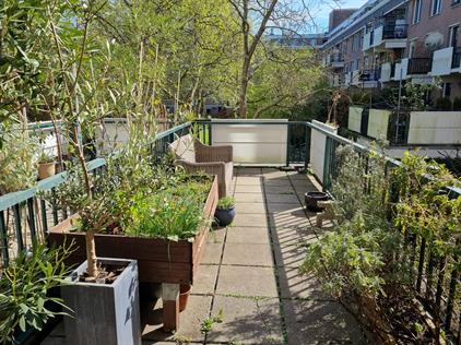 Zimmer zu vermieten 750 Euro Tidorestraat, Amsterdam