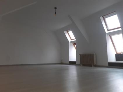 Room for rent 825 euro Zuideinde, Meppel