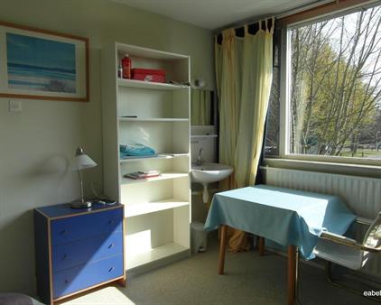 Kamer te huur 410 euro Korenbloemweg, Haren Gn